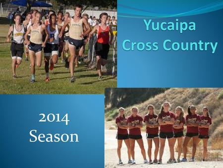 Yucaipa Cross Country 2014 Season.