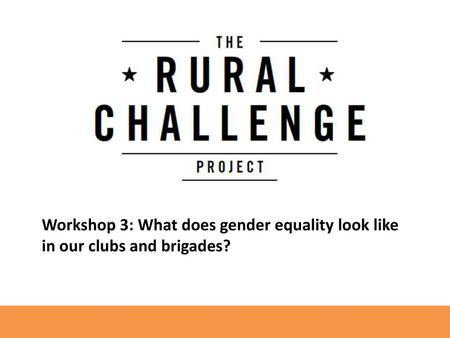 Goals of this workshop Become familiar with the gender equality action plan you will use in workshops 4 and 5. Talk about your experiences and suggestions.