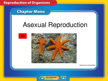 Asexual Reproduction Digital Vision Ltd./SuperStock Chapter Menu.