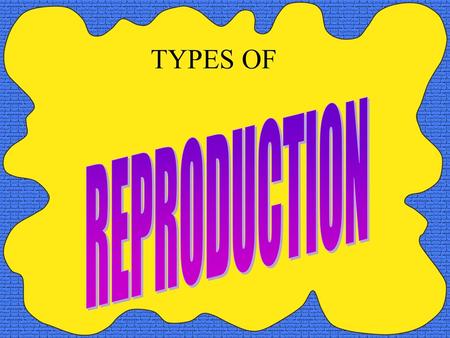 TYPES OF REPRODUCTION.