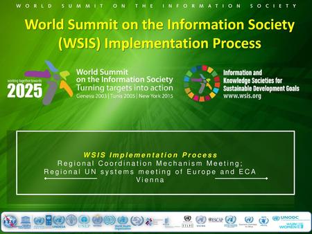 World Summit on the Information Society (WSIS) Implementation Process