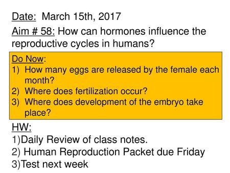 Daily Review of class notes. Human Reproduction Packet due Friday