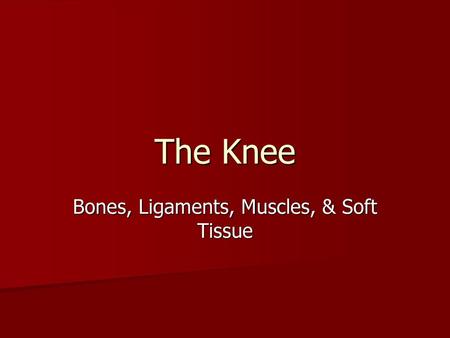 Bones, Ligaments, Muscles, & Soft Tissue