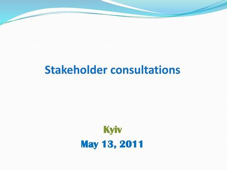 Stakeholder consultations