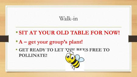 Walk-in SIT AT YOUR OLD TABLE FOR NOW! A – get your group’s plant!