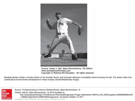 Baseball pitchers initiate a forceful stretch of the shoulder flexors and horizontal adductors immediately before throwing the ball. The stretch reflex.