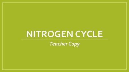Nitrogen Cycle Teacher Copy.
