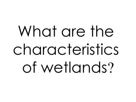 What are the characteristics of wetlands?.