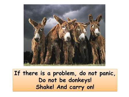 If there is a problem, do not panic, Do not be donkeys!
