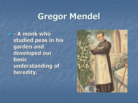 Gregor Mendel - A monk who studied peas in his garden and developed our basic understanding of heredity.