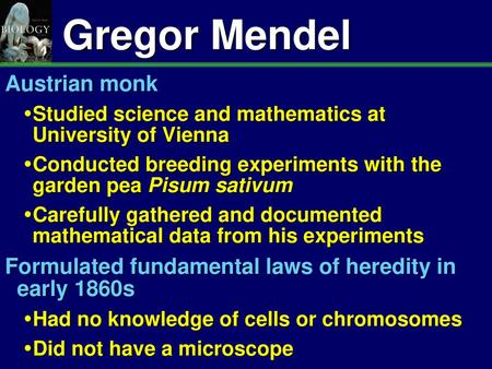 Gregor Mendel Austrian monk