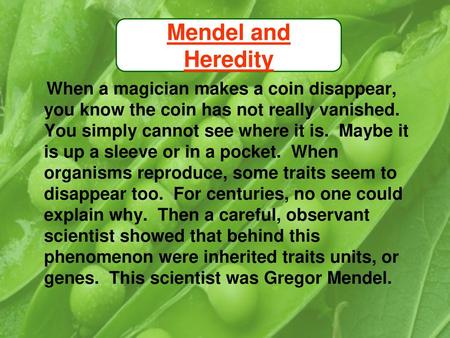 Mendel and Heredity Mendel and Heredity