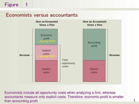 Economists versus accountants