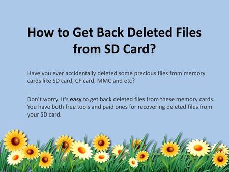 How to Get Back Deleted Files from SD Card?