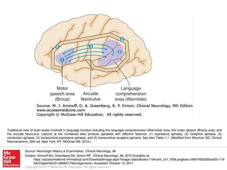 Traditional view of brain areas involved in language function including the language comprehension (Wernicke) area, the motor speech (Broca) area, and.