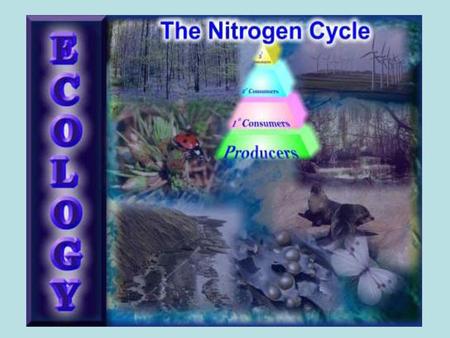 What is nitrogen?. What is nitrogen? Nitrogen is in the Nonmetals Group Periodic Table.