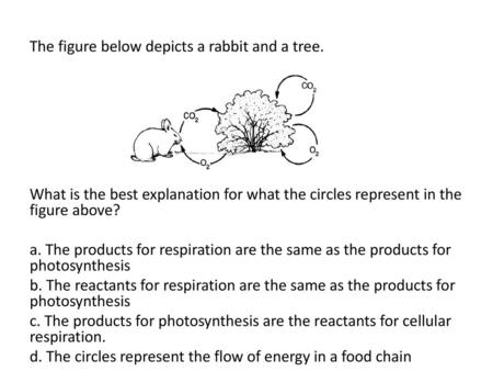The figure below depicts a rabbit and a tree