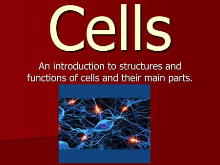 Cells An introduction to structures and functions of cells and their main parts.