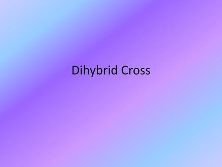 Dihybrid Cross.
