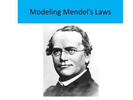 Modeling Mendel’s Laws