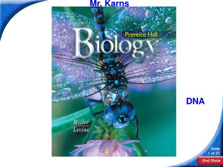Mr. Karns Biology DNA.