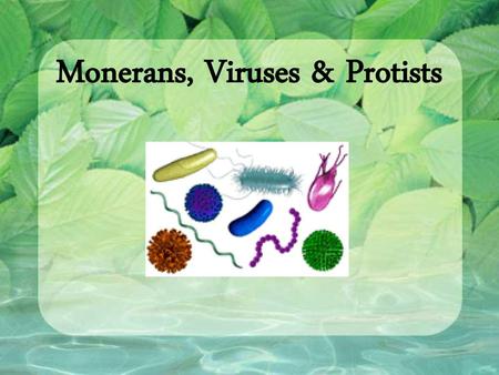 Monerans, Viruses & Protists