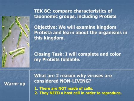 Closing Task: I will complete and color my Protists foldable.