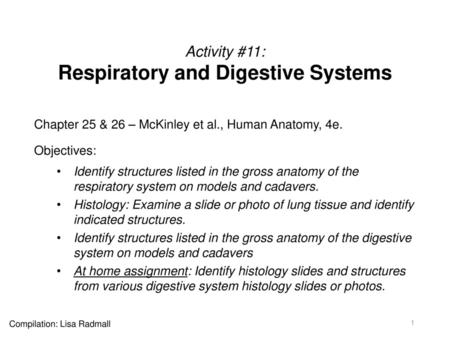 Activity #11: Respiratory and Digestive Systems