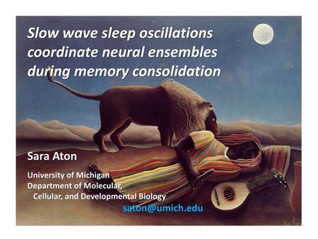 Slow wave sleep oscillations coordinate neural ensembles