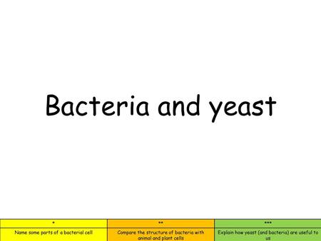 Bacteria and yeast.