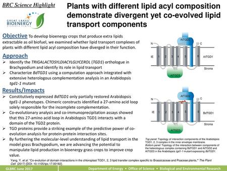 BRC Science Highlight Plants with different lipid acyl composition demonstrate divergent yet co-evolved lipid transport components Objective To develop.