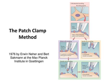 The Patch Clamp Method 1976 by Erwin Neher and Bert Sakmann at the Max Planck Institute in Goettingen.