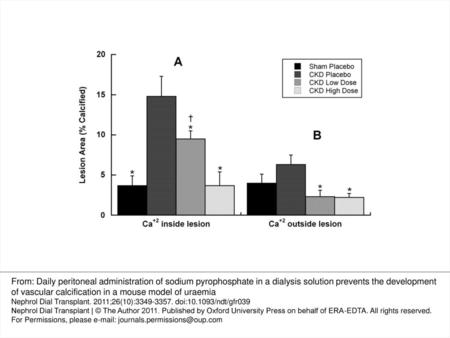 Fig. 3. Quantitative analysis of calcification at the aortic root showing the effect of long-term PD administration of PPi in mice . ( A ) Calcification.