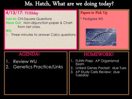 Ms. Hatch, What are we doing today?