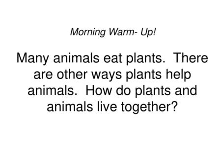 Morning Warm- Up. Many animals eat plants