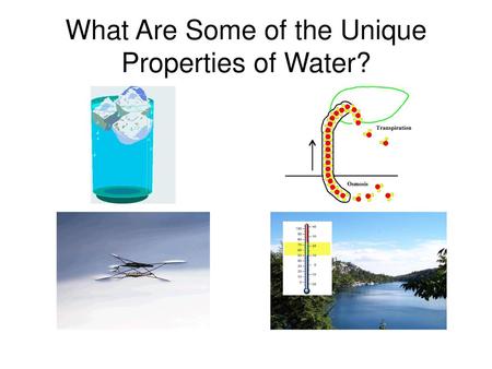What Are Some of the Unique Properties of Water?
