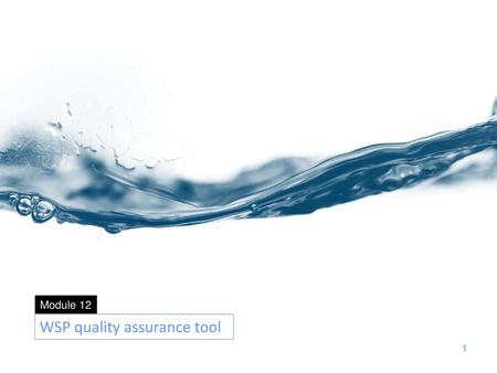 WSP quality assurance tool