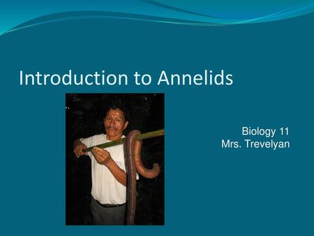 Introduction to Annelids