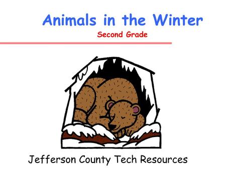 Animals in the Winter Second Grade