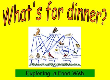 What's for dinner? Exploring a Food Web.