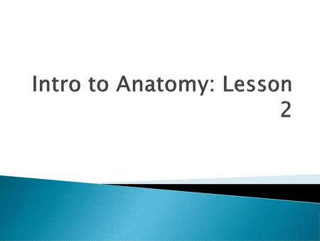 Intro to Anatomy: Lesson 2