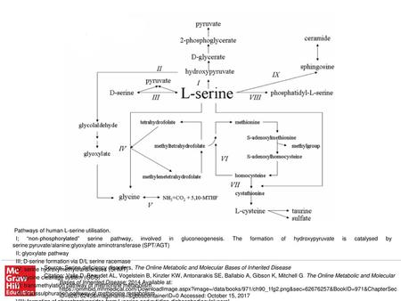IX; formation of sphingolipids, sphingosine is synthesised from L-serine and palmitoyl-CoA. Source: Serine deficiency disorders, The Online Metabolic and.