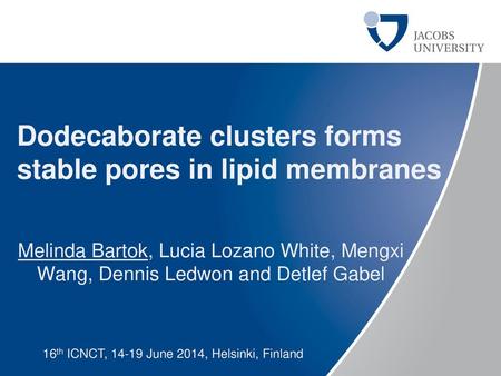 Dodecaborate clusters forms stable pores in lipid membranes