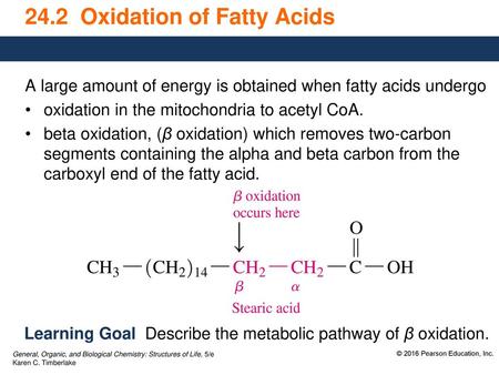24.2 Oxidation of Fatty Acids