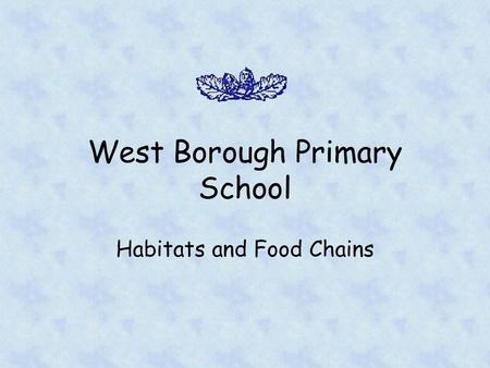 West Borough Primary School