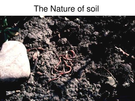 The Nature of soil.