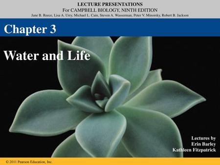 Chapter 3 Water and Life.