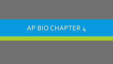 AP Bio Chapter 4.