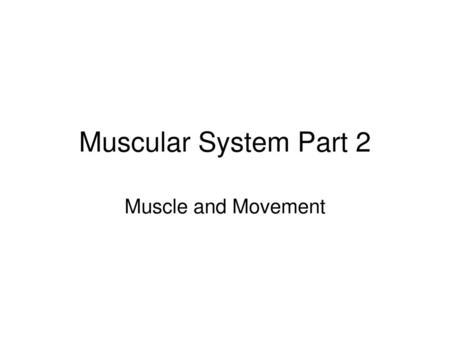 Muscular System Part 2 Muscle and Movement.