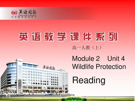 高一人教（上） Module 2 Unit 4 Wildlife Protection Reading.